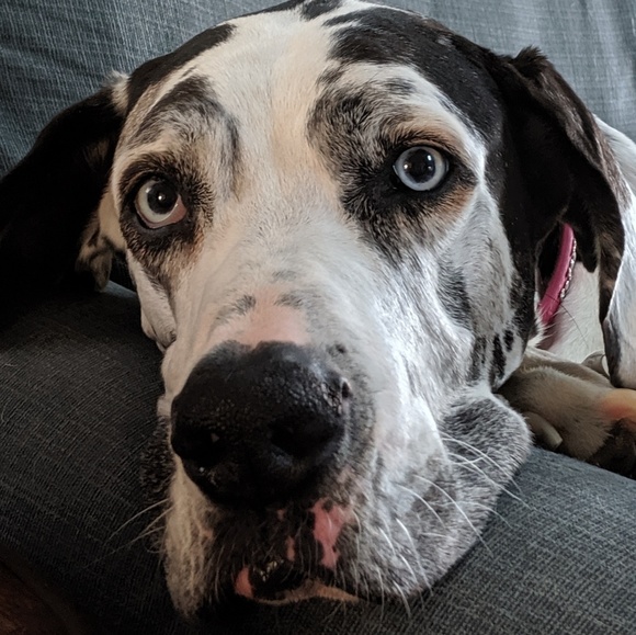 Meet your Posher, Jana - Picture 1 of 1